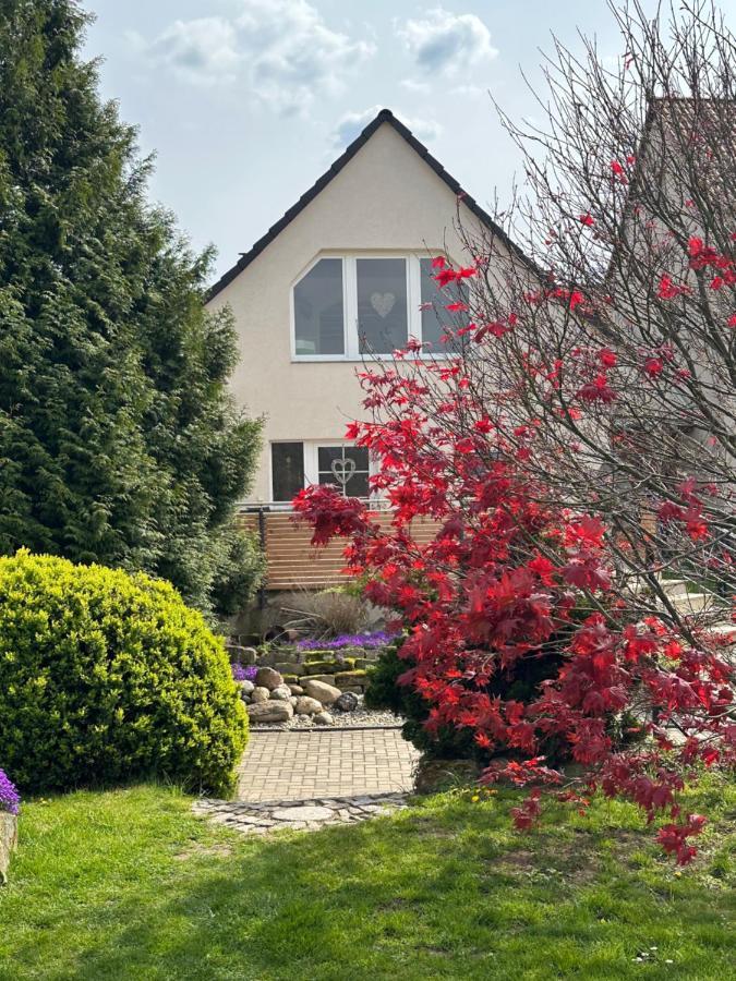 Ferienhaus Harzvorland Ballenstedt Ngoại thất bức ảnh